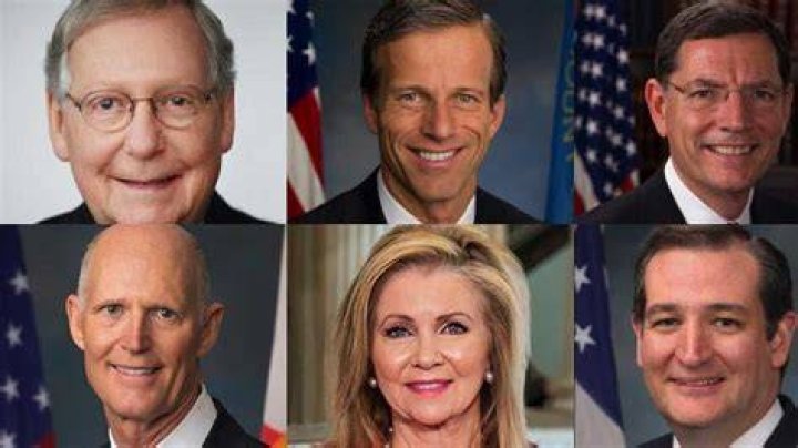 
12 Republican Senators Just Voted to Advance Same-Sex Marriage Protections Act 