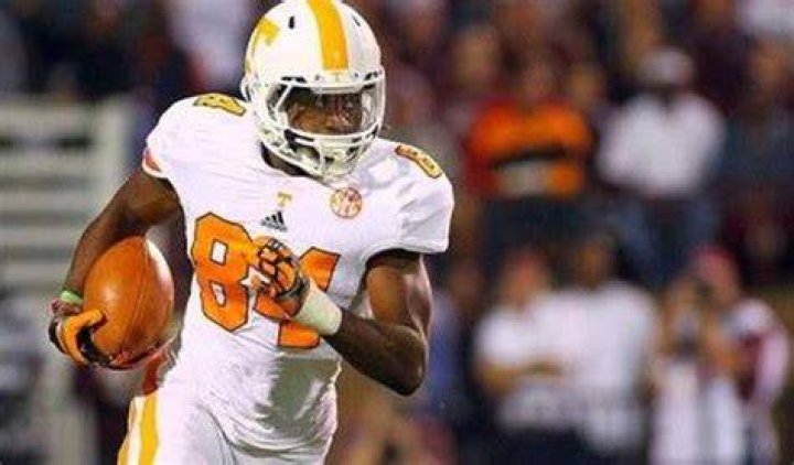Cordarrelle Patterson Height, Weight, Net Worth, Age, Birthday, Wikipedia, Who, Nationality, Biography