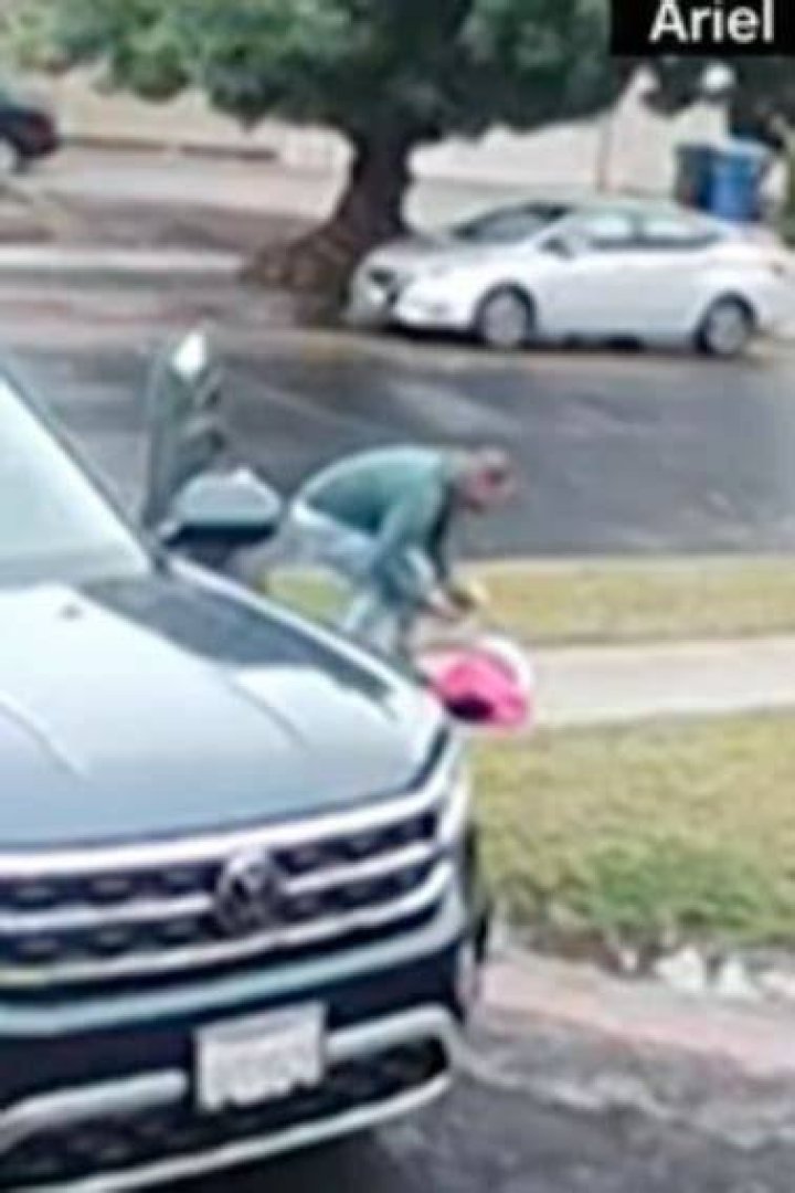 
Dad Rescues 2-Year-Old Daughter from Coyote Attack in Their Front Yard 