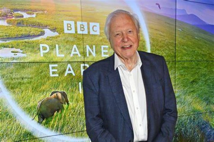 
David Attenborough Is Still Alive: Death Hoax Debunked, What Happened To English Broadcaster? 