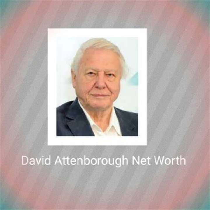 David Marriott Net Worth, Income, Salary, Earnings, Biography