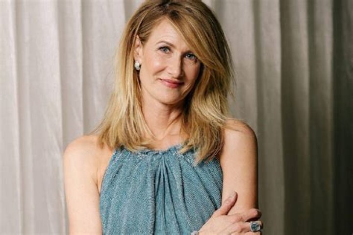 
Eveything To Know Know About American Actress Laura Dern Weight Loss Journey 