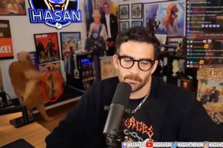 Hasanabi Girlfriend-Is The Twitch Streamer Dating Anyone? Ethnicity Explored