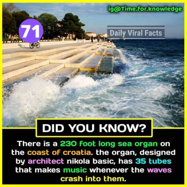 Hawkhatesyou Real Name: 10 Facts You Should Know