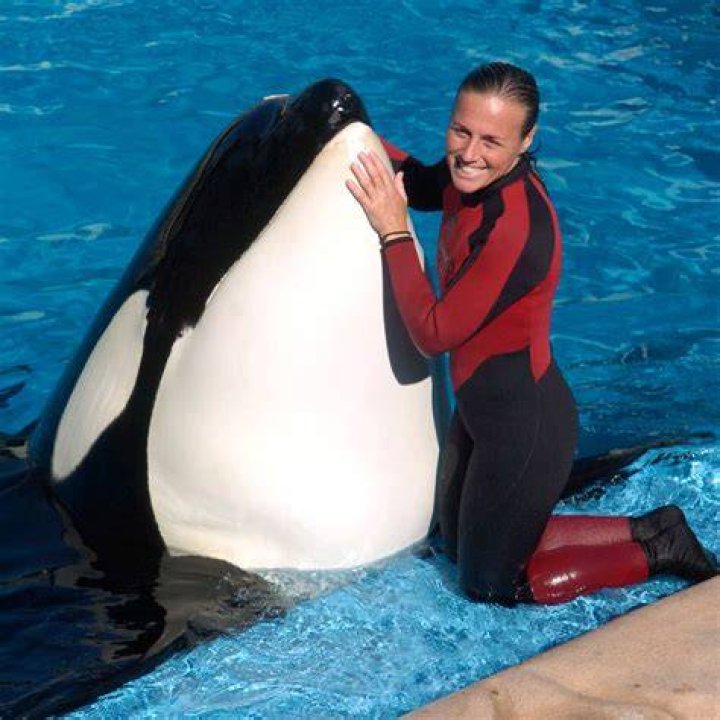 
How Did Trainer Dawn Brancheau Killed By Orca Seaworld? Autopsy Reporter Of The Trainer 