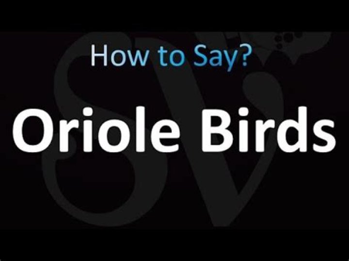 How to pronounce oriole