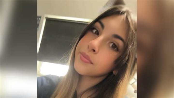 
Illinois Man Accused of Stabbing 14-Year-Old After Meeting Her Online and Traveling to Her Home 