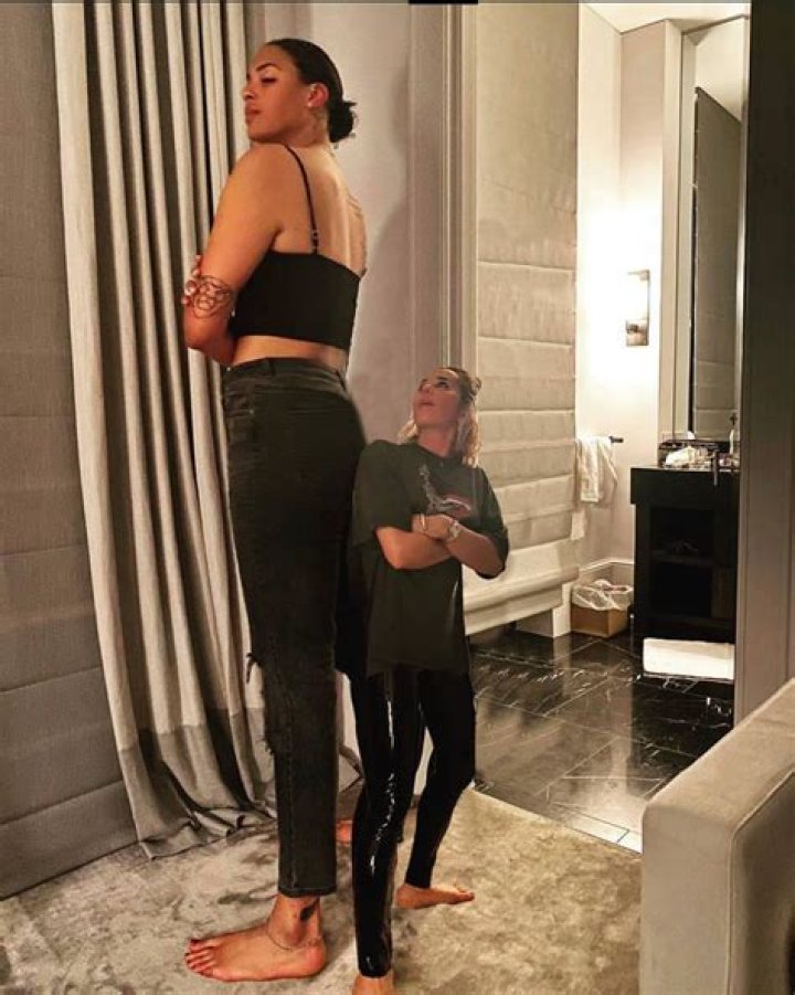 Image of How tall are trees in meters?