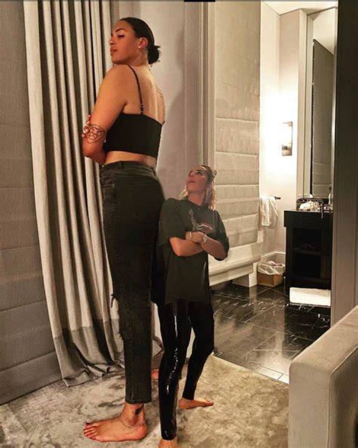 Image of How tall is a average tree?