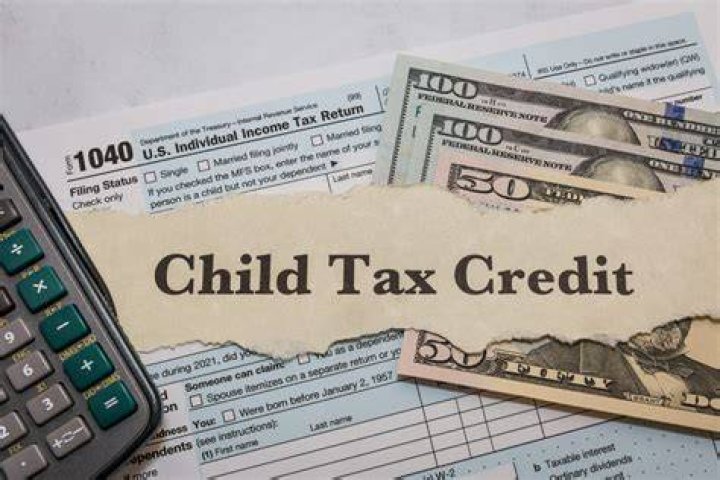 
IRS sent over $1 billion in child tax credit payments to ineligible households: audit 