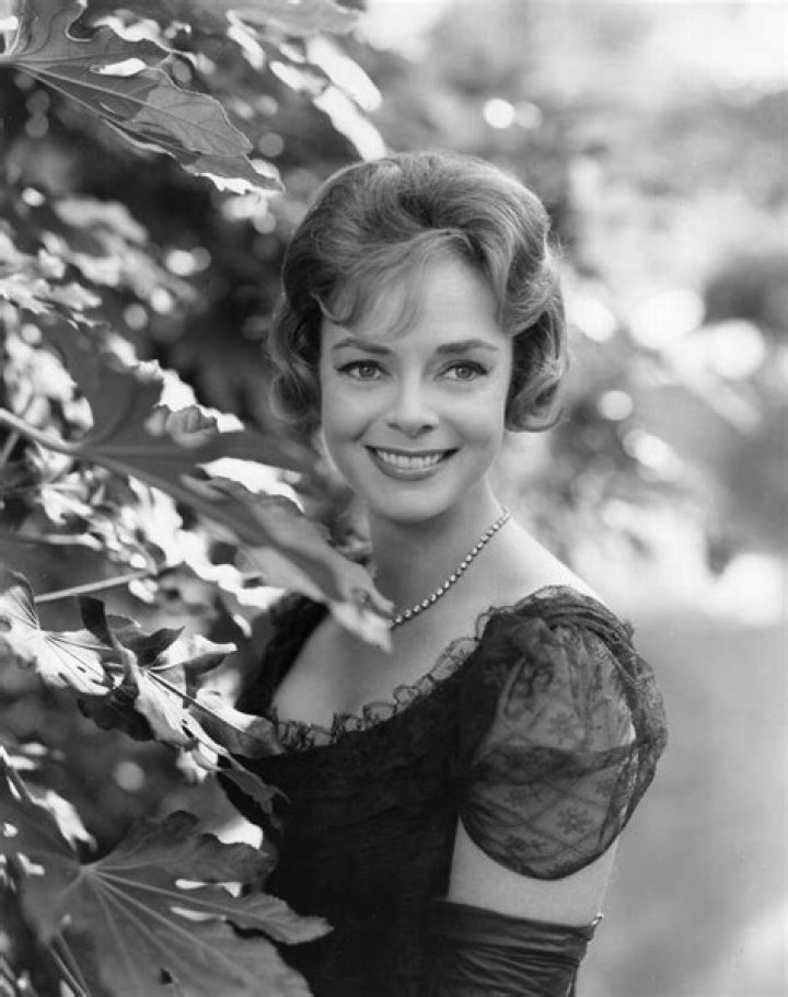 
June Lockhart Wiki Bio, age, net worth, height, daughters.Dead or Alive? 