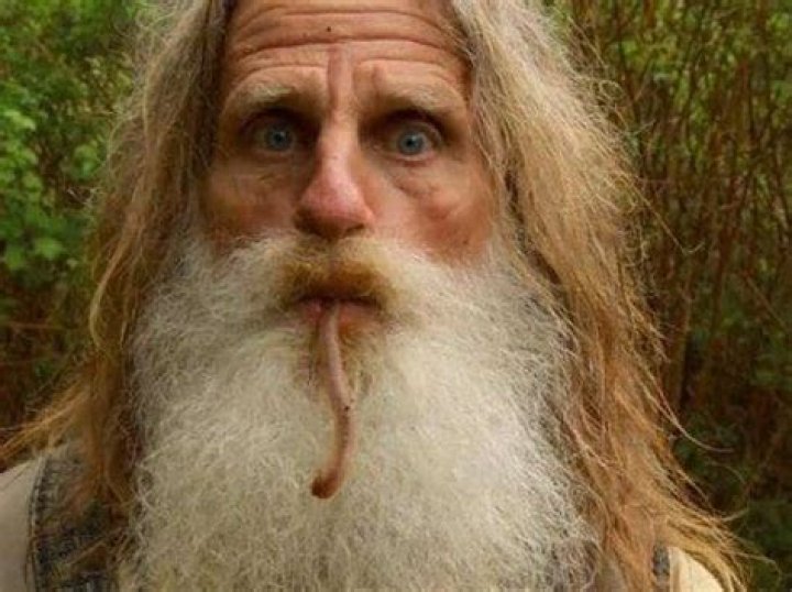 Mick Dodge Wiki, Bio, Age, Dead, Height, Rainforest Man, Net Worth, Wife and Show