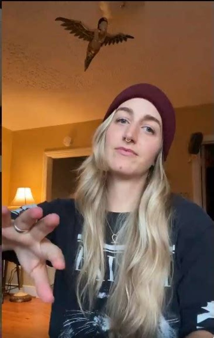 
Noah Gundersen Sexual Abuse Update, Victim Name – Details on The Assault and Allegations 