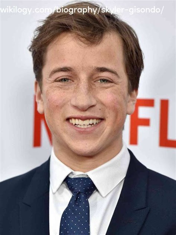 Skyler Gisondo Net Worth, Income, Salary, Earnings, Biography