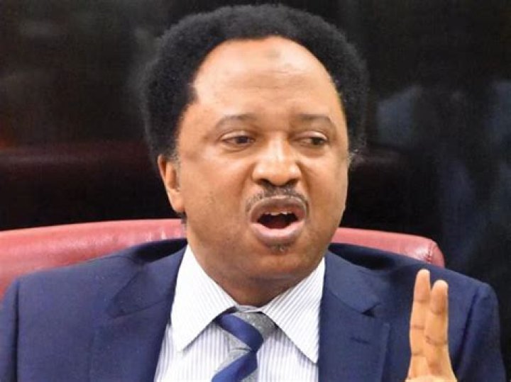 
We Must Ensure That Meghan Is Defended Against Bullying – Shehu Sani 