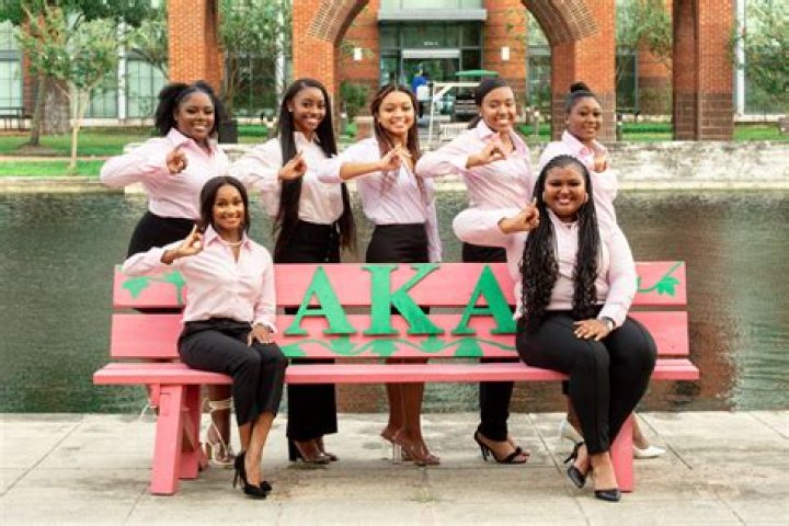 What is aka fraternity brother