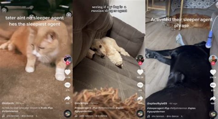 What Is The ‘Kill John Lennon’ Tiktok Meme? Russian Sleeper Agent Pet Tiktok Compilations
