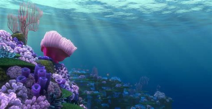 What is the name of the mountain in finding nemo