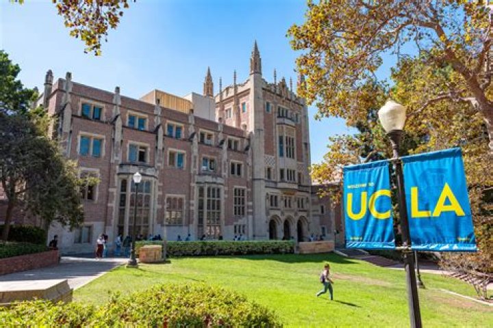 Where Is Kobe Paras Now? College Career At UCLA and Family Background