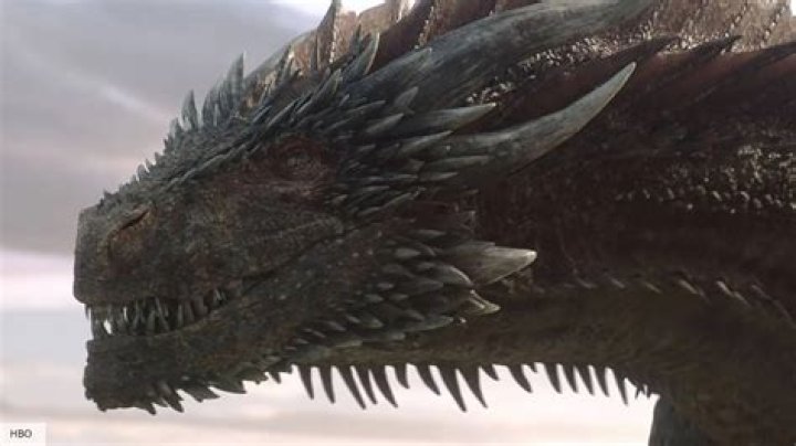 
Where Is Vhagar and Balerion The Black Dread? Dragon From GOT Should Have Been In The Prequel 