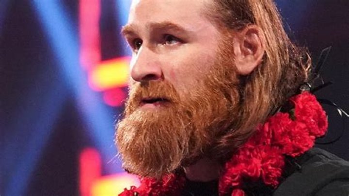
Who Is Sami Zayn | WWE Star Career Highlights | Age And Net Worth 